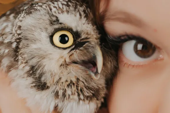 Kazino B Bets Pagalba